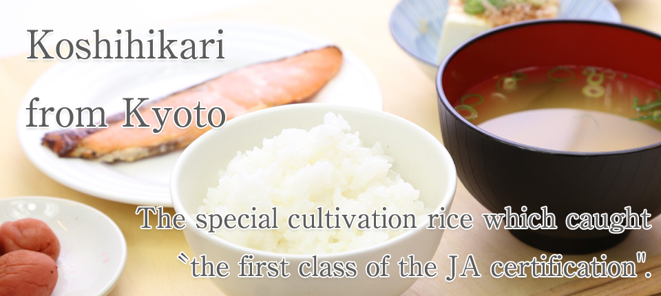 Rice