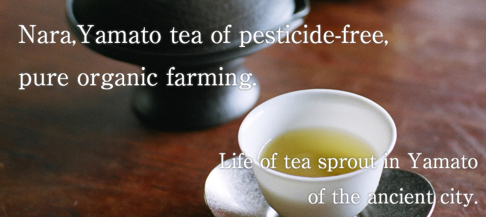 Tea