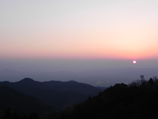Scenery of a tea garden