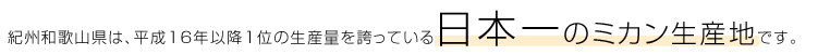 紀州和歌山県は、平成16年以降1位の生産量を誇っている日本一のミカン生産地です。