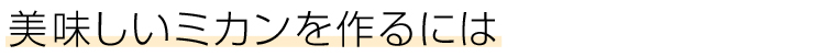 美味しいミカンを作るには