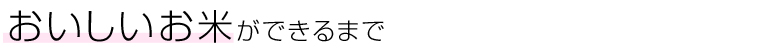 おいしい米ができるまで