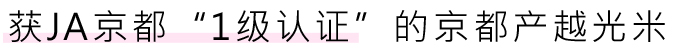 获JA京都“1级认证”的京都产越光米